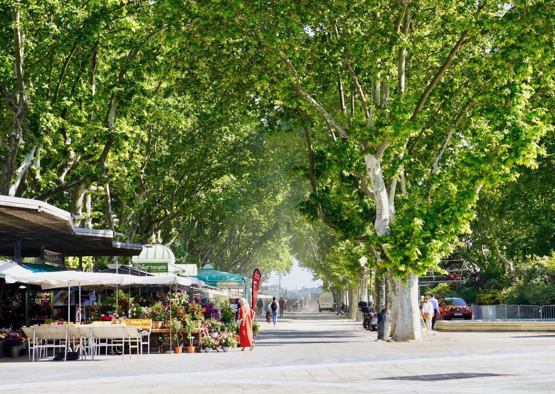 Rue piétonne Agen boutique